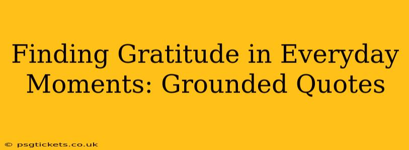 Finding Gratitude in Everyday Moments: Grounded Quotes