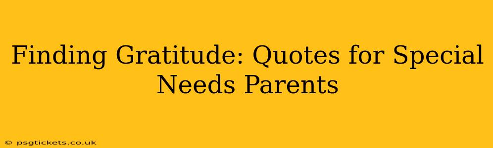 Finding Gratitude: Quotes for Special Needs Parents