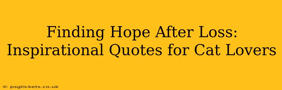 Finding Hope After Loss: Inspirational Quotes for Cat Lovers