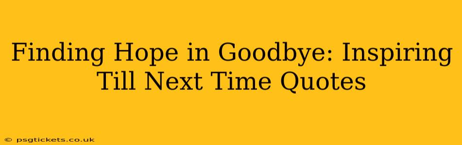 Finding Hope in Goodbye: Inspiring Till Next Time Quotes