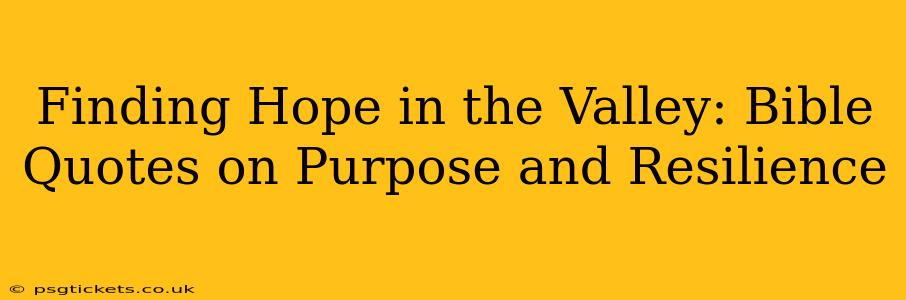 Finding Hope in the Valley: Bible Quotes on Purpose and Resilience