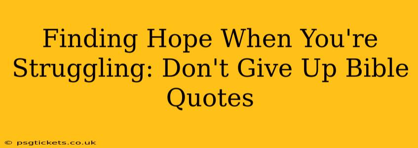 Finding Hope When You're Struggling: Don't Give Up Bible Quotes