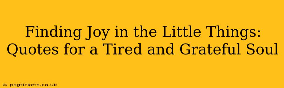 Finding Joy in the Little Things: Quotes for a Tired and Grateful Soul