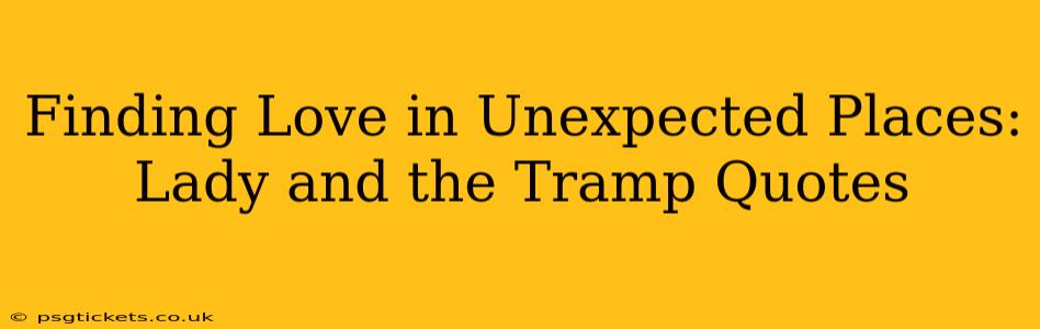 Finding Love in Unexpected Places: Lady and the Tramp Quotes