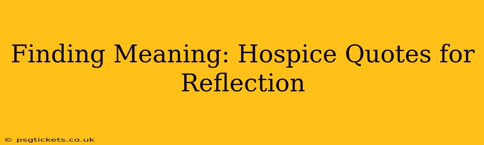 Finding Meaning: Hospice Quotes for Reflection