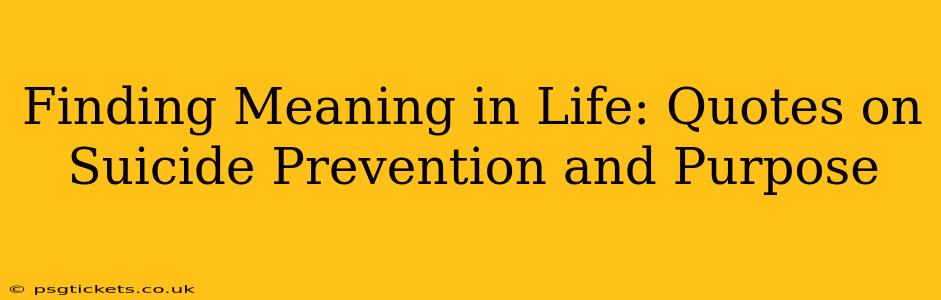 Finding Meaning in Life: Quotes on Suicide Prevention and Purpose