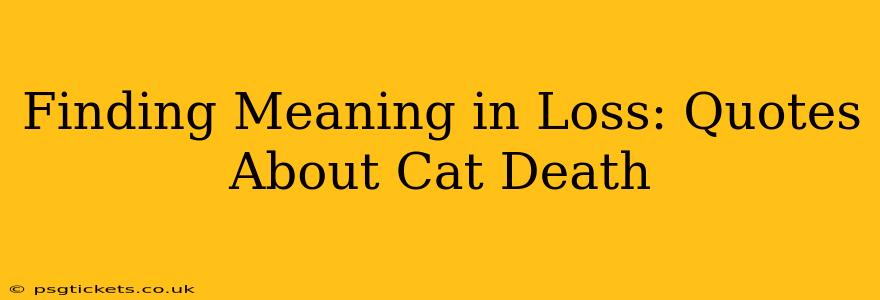 Finding Meaning in Loss: Quotes About Cat Death