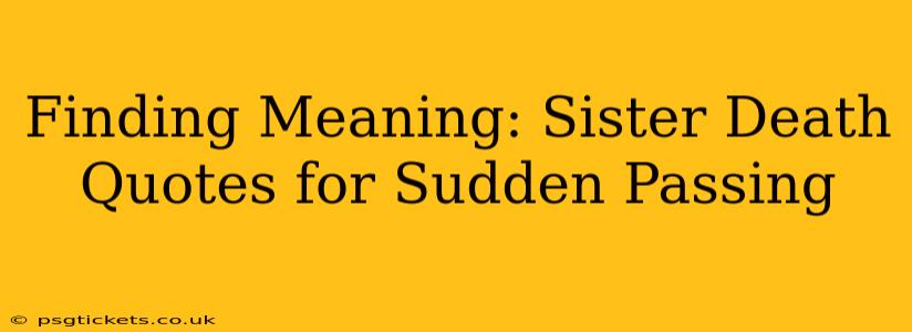 Finding Meaning: Sister Death Quotes for Sudden Passing