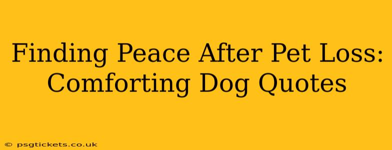 Finding Peace After Pet Loss: Comforting Dog Quotes