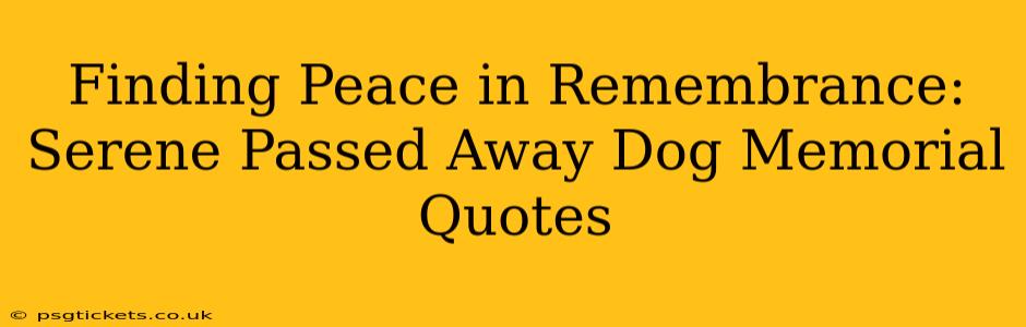 Finding Peace in Remembrance:  Serene Passed Away Dog Memorial Quotes