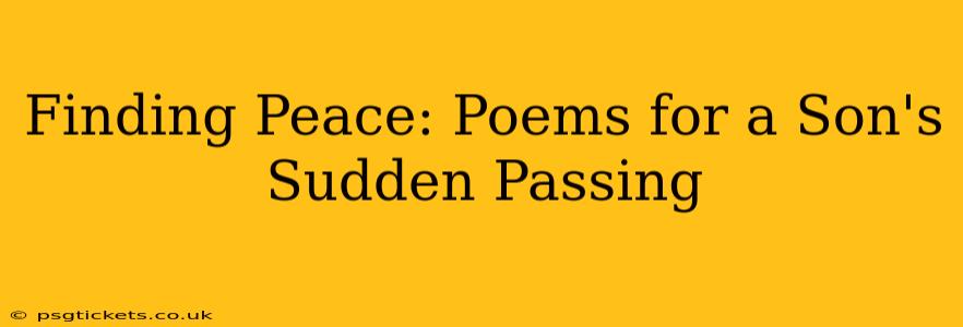 Finding Peace: Poems for a Son's Sudden Passing