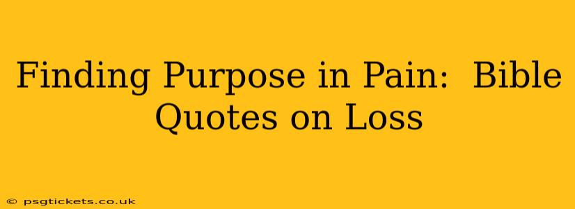Finding Purpose in Pain:  Bible Quotes on Loss