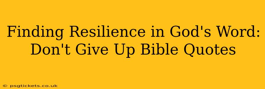 Finding Resilience in God's Word: Don't Give Up Bible Quotes