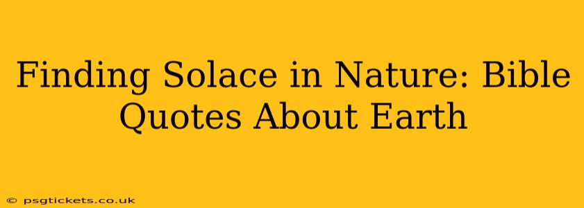 Finding Solace in Nature: Bible Quotes About Earth