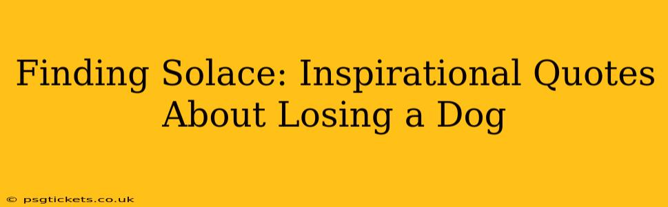 Finding Solace: Inspirational Quotes About Losing a Dog