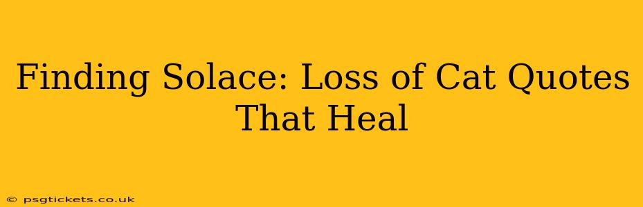 Finding Solace: Loss of Cat Quotes That Heal