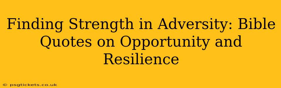 Finding Strength in Adversity: Bible Quotes on Opportunity and Resilience
