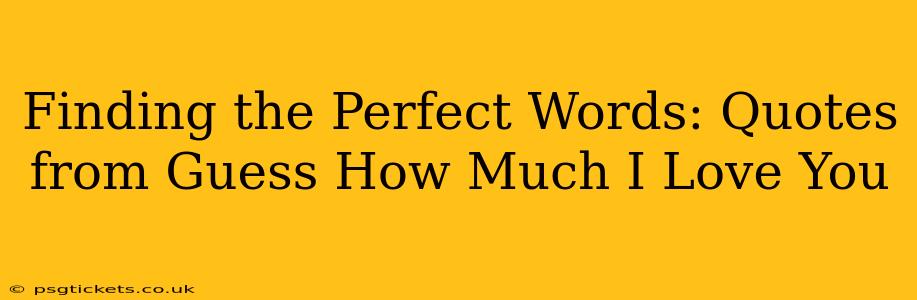Finding the Perfect Words: Quotes from Guess How Much I Love You