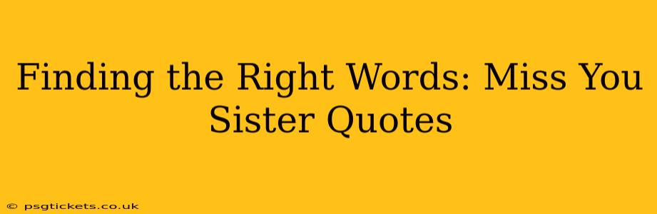 Finding the Right Words: Miss You Sister Quotes