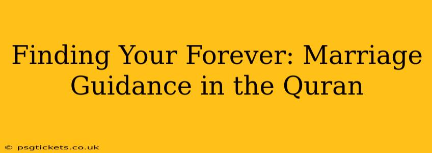 Finding Your Forever: Marriage Guidance in the Quran