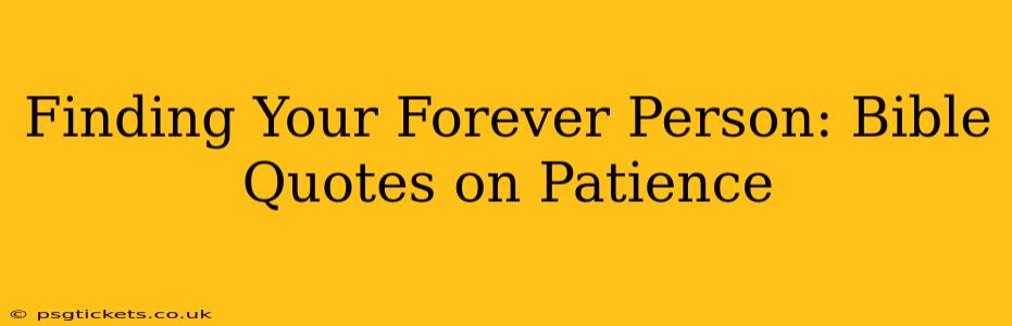 Finding Your Forever Person: Bible Quotes on Patience