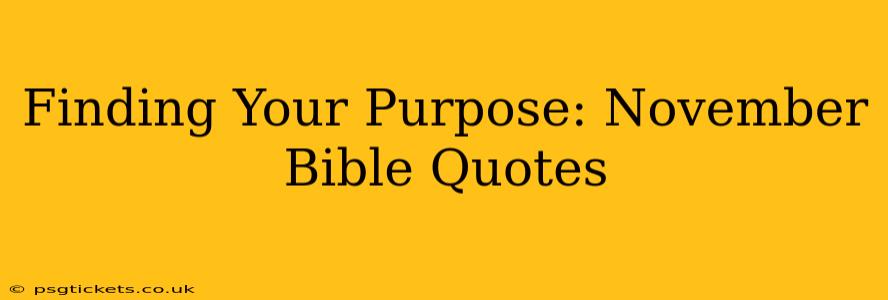 Finding Your Purpose: November Bible Quotes