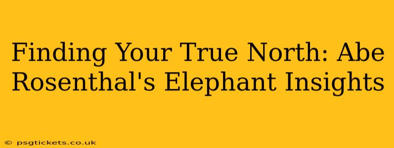 Finding Your True North: Abe Rosenthal's Elephant Insights