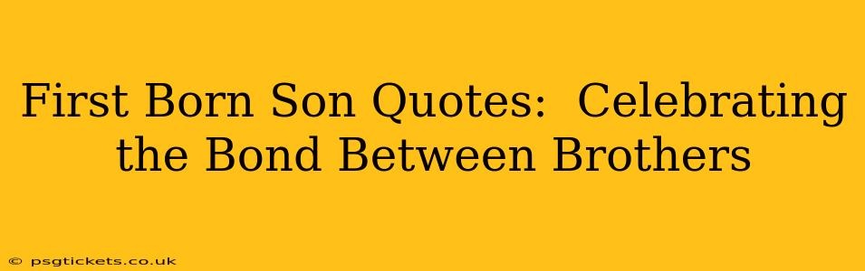 First Born Son Quotes:  Celebrating the Bond Between Brothers