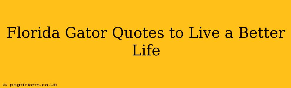 Florida Gator Quotes to Live a Better Life
