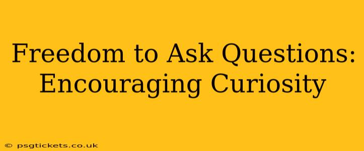 Freedom to Ask Questions: Encouraging Curiosity