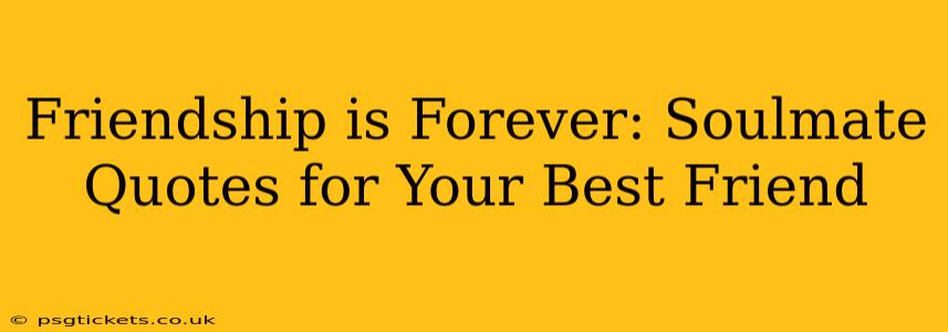 Friendship is Forever: Soulmate Quotes for Your Best Friend