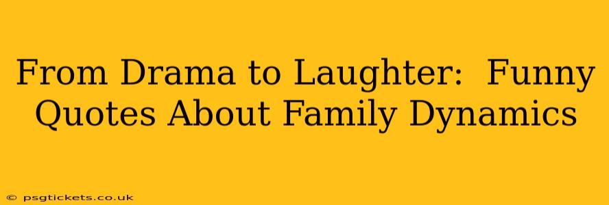 From Drama to Laughter:  Funny Quotes About Family Dynamics