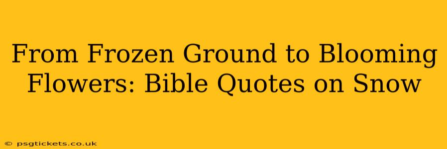 From Frozen Ground to Blooming Flowers: Bible Quotes on Snow