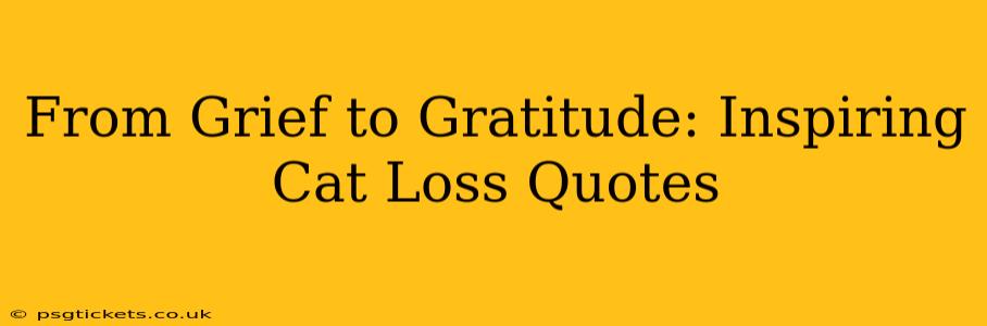 From Grief to Gratitude: Inspiring Cat Loss Quotes