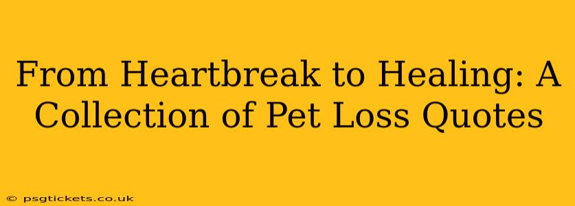 From Heartbreak to Healing: A Collection of Pet Loss Quotes