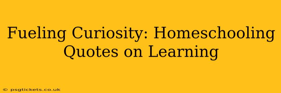 Fueling Curiosity: Homeschooling Quotes on Learning