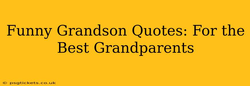 Funny Grandson Quotes: For the Best Grandparents