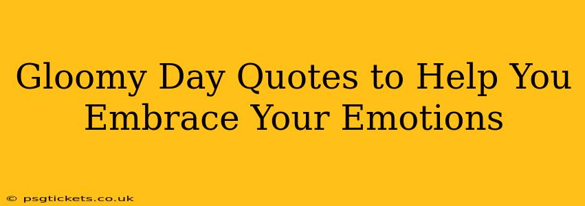 Gloomy Day Quotes to Help You Embrace Your Emotions