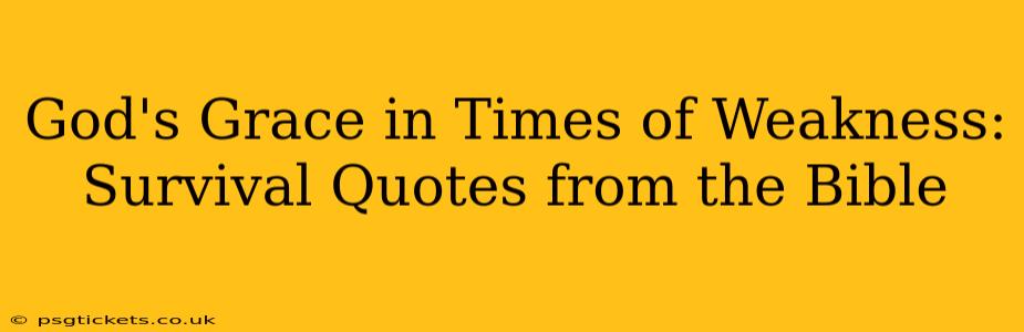God's Grace in Times of Weakness: Survival Quotes from the Bible