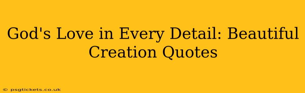 God's Love in Every Detail: Beautiful Creation Quotes