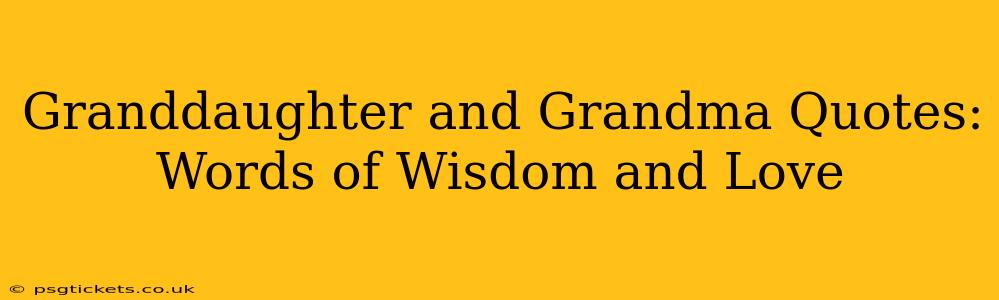 Granddaughter and Grandma Quotes: Words of Wisdom and Love