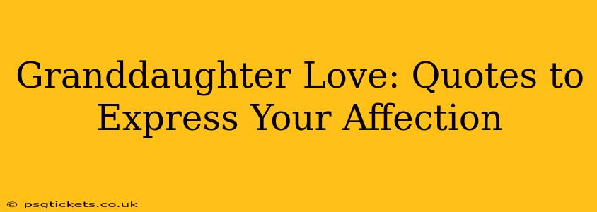Granddaughter Love: Quotes to Express Your Affection