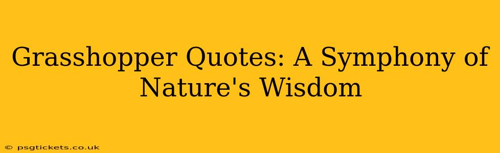 Grasshopper Quotes: A Symphony of Nature's Wisdom