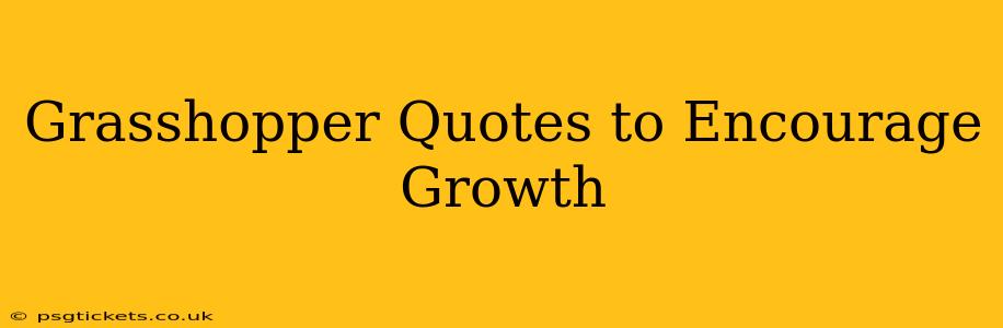 Grasshopper Quotes to Encourage Growth