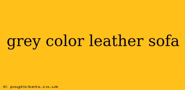 grey color leather sofa
