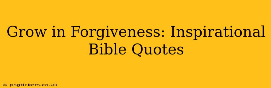 Grow in Forgiveness: Inspirational Bible Quotes