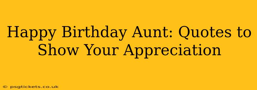 Happy Birthday Aunt: Quotes to Show Your Appreciation