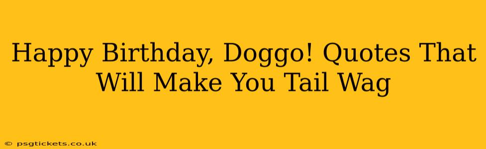 Happy Birthday, Doggo! Quotes That Will Make You Tail Wag