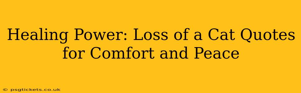 Healing Power: Loss of a Cat Quotes for Comfort and Peace