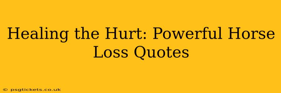 Healing the Hurt: Powerful Horse Loss Quotes